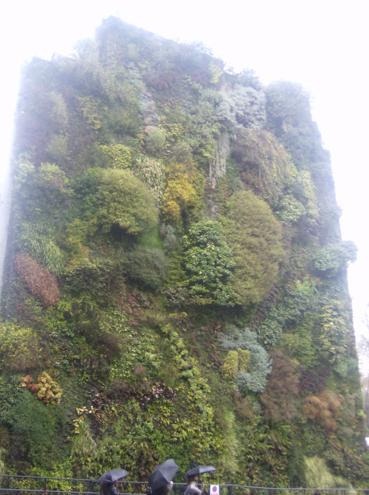 Plant Wall 2
