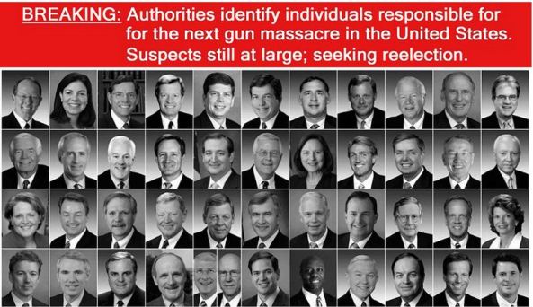 senators gun ban