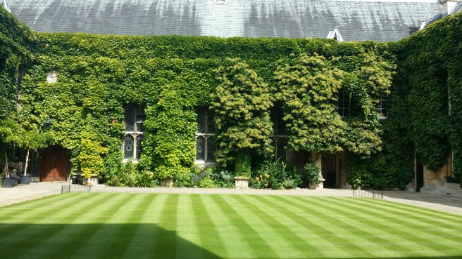 20150710_151206.jpg image