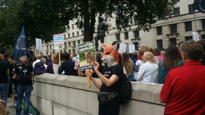 20150715_134650.jpg image