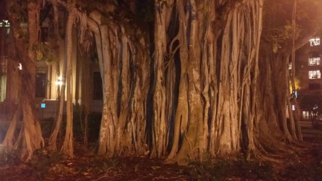 20150828_212353.jpg image