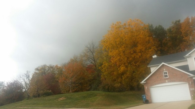 20151024_103857.jpg image