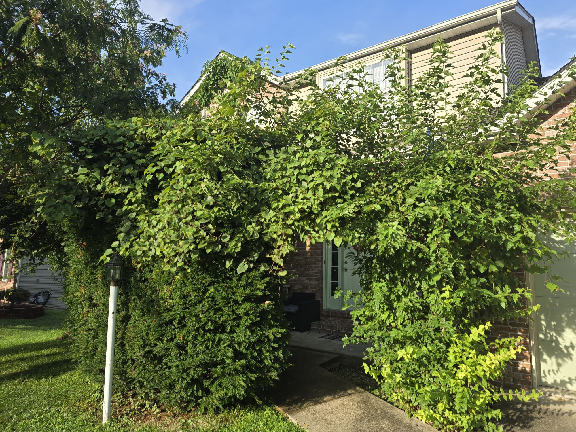 Greenery Front Our Greenery – Clarissa's Blog